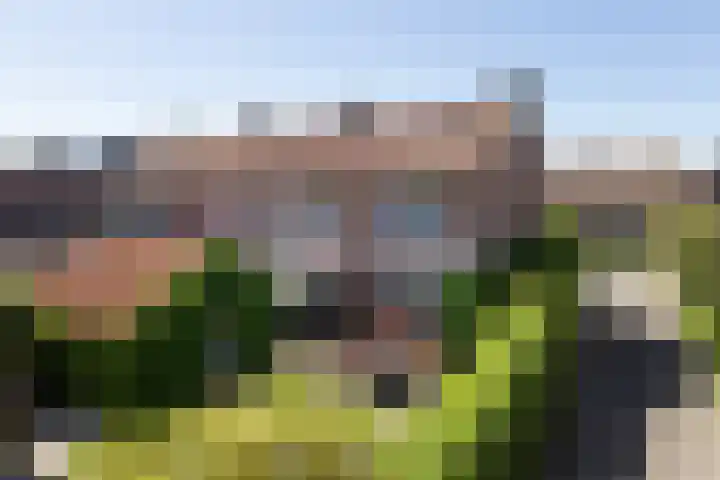 Bronkhorstkamp 15 Eibergen thumbnail 26