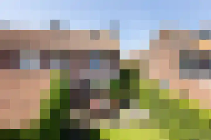 Bronkhorstkamp 15 Eibergen thumbnail 27