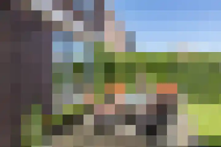 Bronkhorstkamp 15 Eibergen thumbnail 29