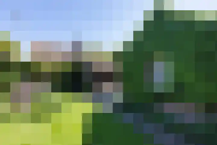 Bronkhorstkamp 15 Eibergen thumbnail 30