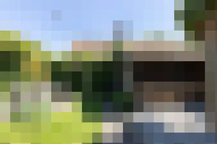Bronkhorstkamp 15 Eibergen thumbnail 31