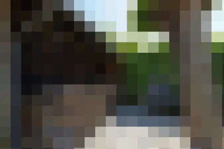 Bronkhorstkamp 15 Eibergen thumbnail 32