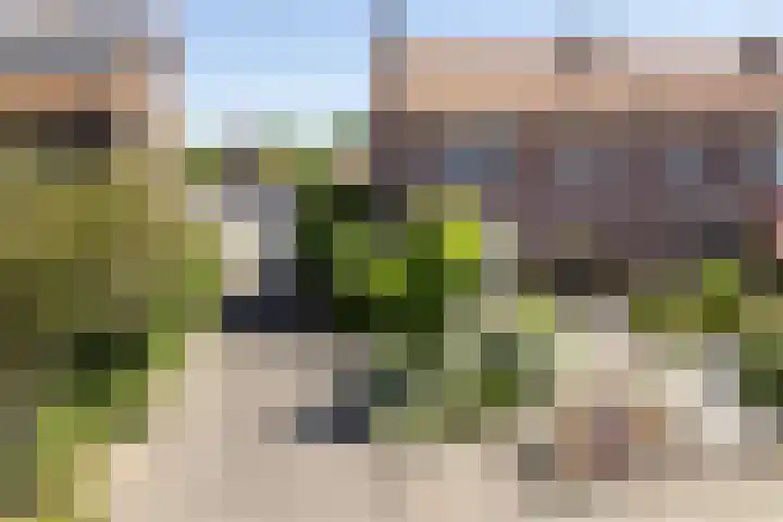Bronkhorstkamp 15 Eibergen thumbnail 35