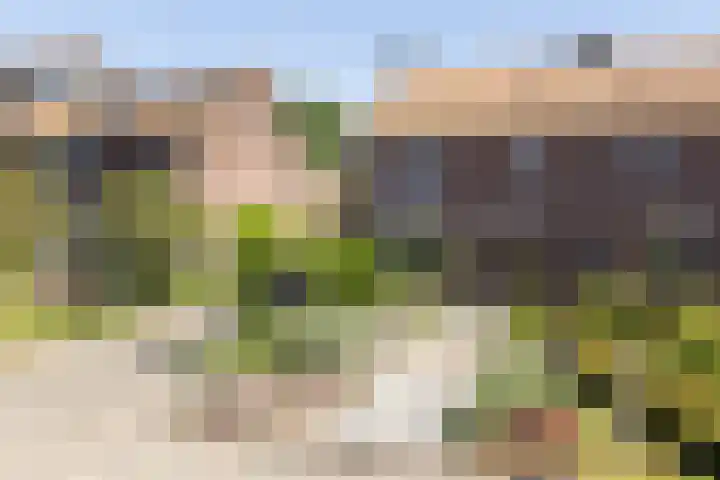 Bronkhorstkamp 15 Eibergen thumbnail 45