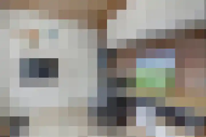 Bronkhorstweg 4 Velp thumbnail 15