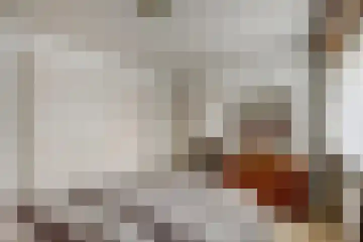 Bronkhorstweg 4 Velp thumbnail 18