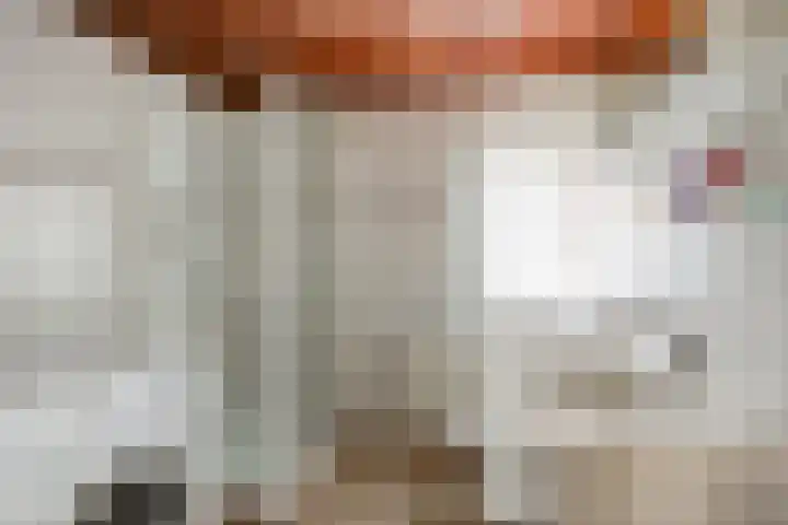 Bronkhorstweg 4 Velp thumbnail 19
