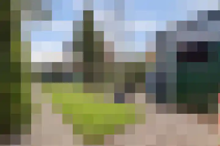 Bronkhorstweg 4 Velp thumbnail 29