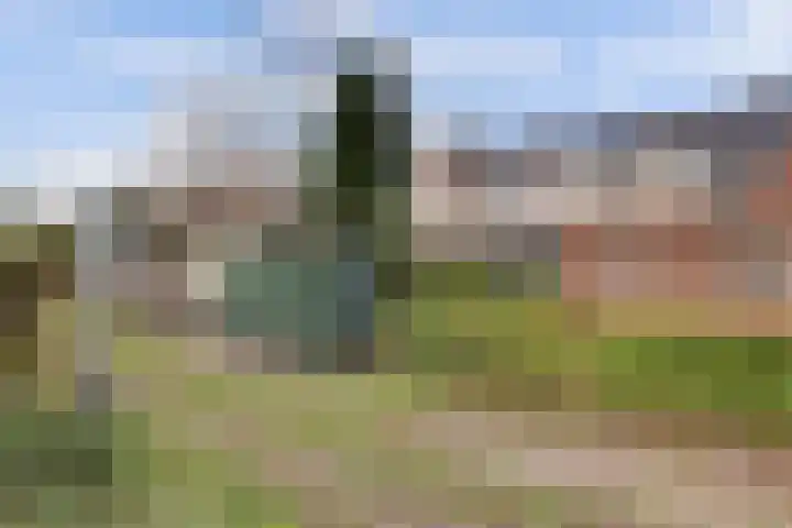 Bronkhorstweg 4 Velp thumbnail 31