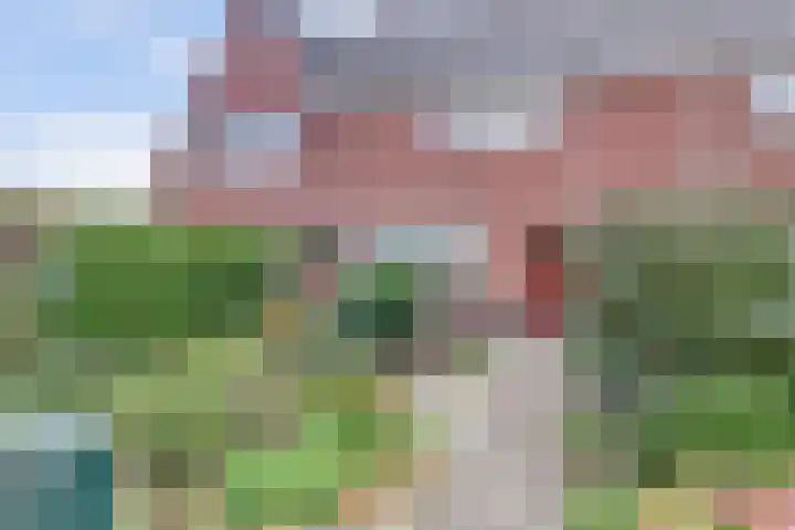 Bronkhorstweg 4 Velp thumbnail 5