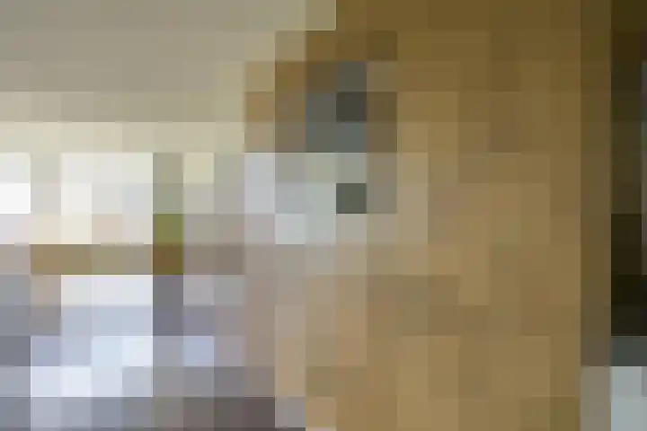 Bronmos 48 Houten thumbnail 16