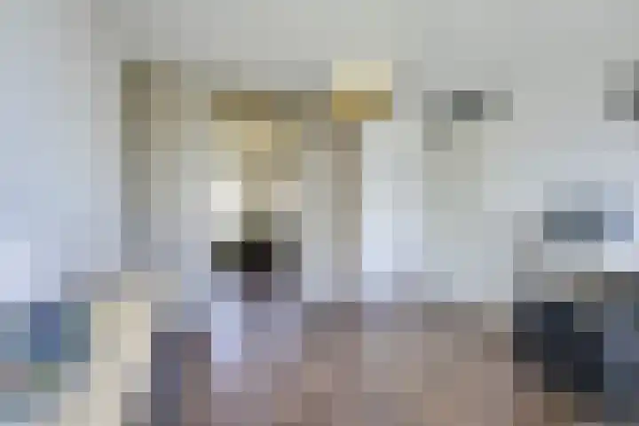 Bronmos 48 Houten thumbnail 19