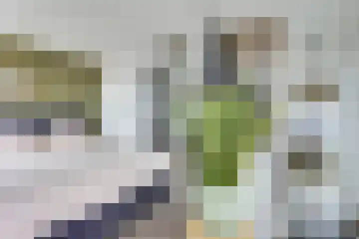 Bronmos 48 Houten thumbnail 24