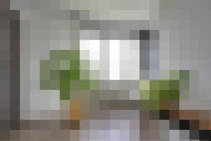 Bronmos 48 Houten thumbnail 27