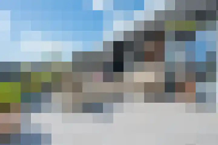 Bronmos 48 Houten thumbnail 28