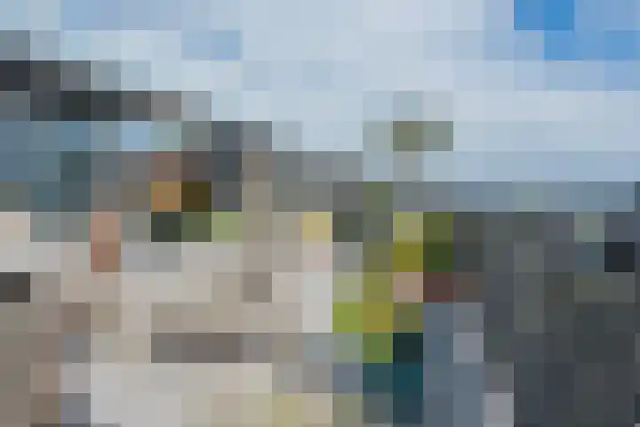 Bronmos 48 Houten thumbnail 30