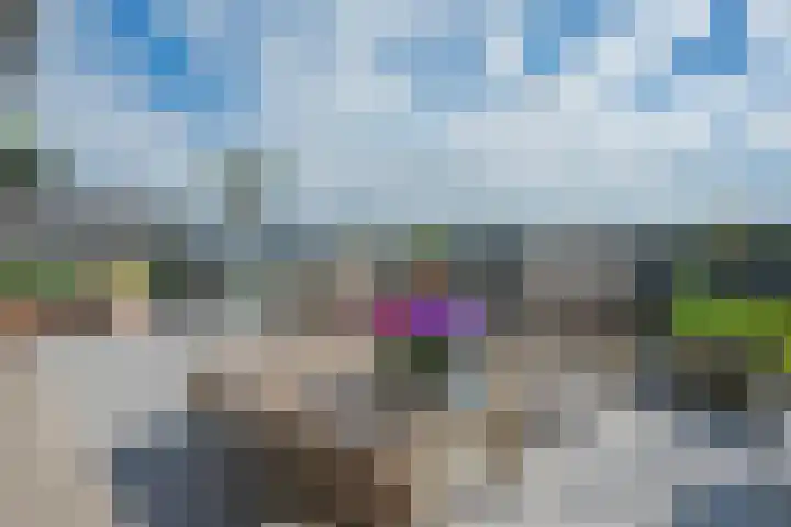 Bronmos 48 Houten thumbnail 31