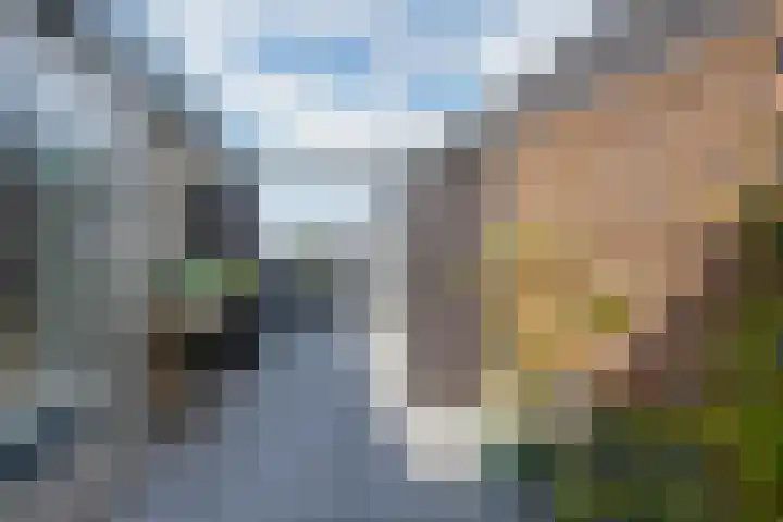 Bronmos 48 Houten thumbnail 35