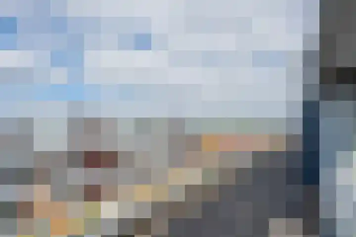 Bronmos 48 Houten thumbnail 37