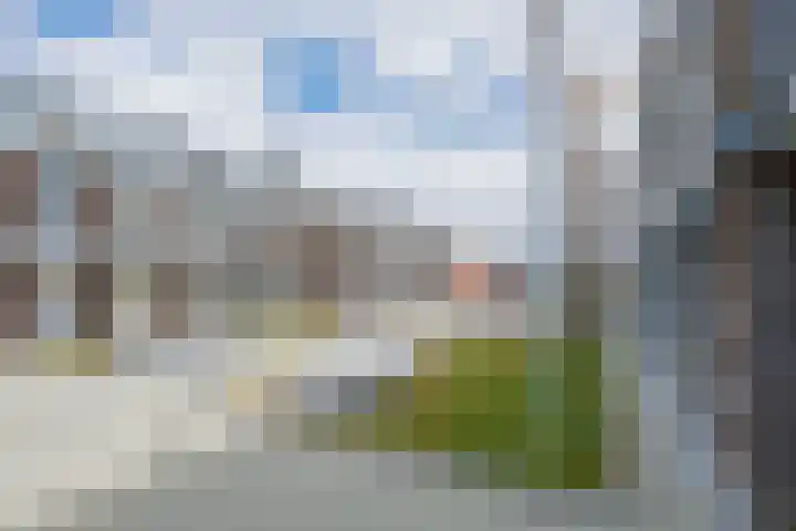 Bronmos 48 Houten thumbnail 42