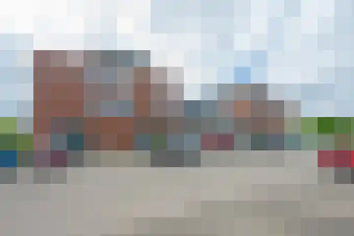 Bronmos 48 Houten thumbnail 43