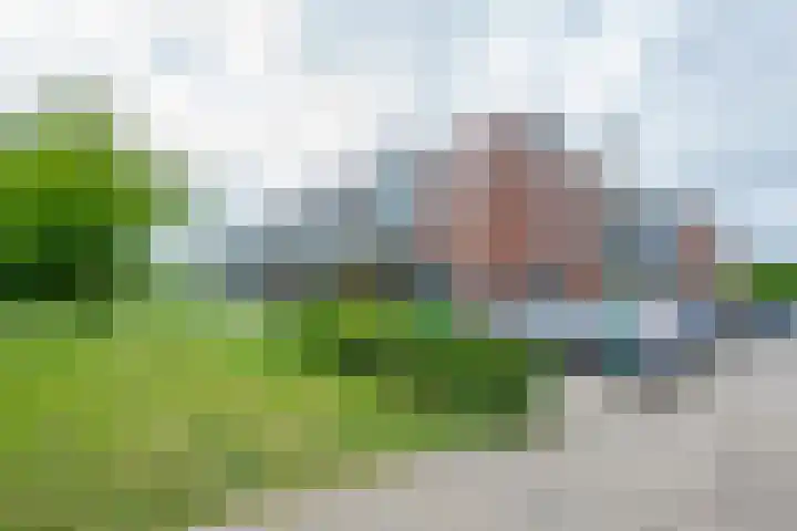 Bronmos 48 Houten thumbnail 44
