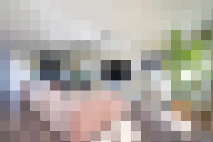 Bronmos 48 Houten thumbnail 8