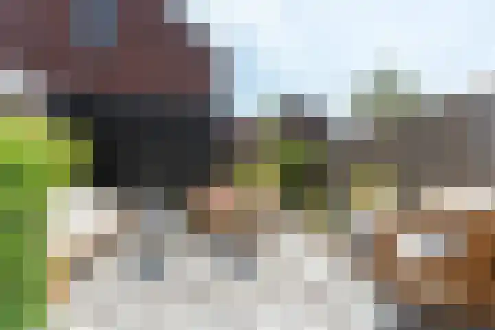 Brons 78 Arnhem thumbnail 51
