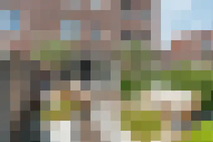 Brons 78 Arnhem thumbnail 55