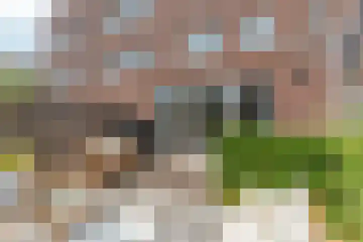Brons 78 Arnhem thumbnail 56