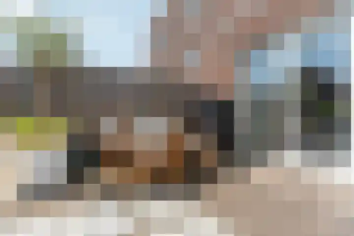 Brons 78 Arnhem thumbnail 57