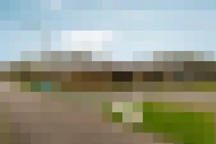 Brons 78 Arnhem thumbnail 66