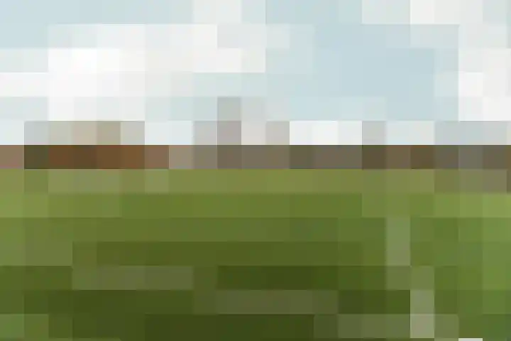 Brons 78 Arnhem thumbnail 72