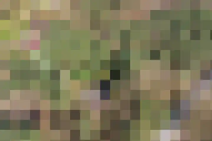 Bronsvoorderdijk 9 Bathmen thumbnail 10