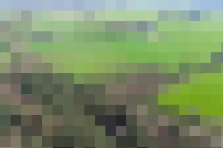 Bronsvoorderdijk 9 Bathmen thumbnail 11