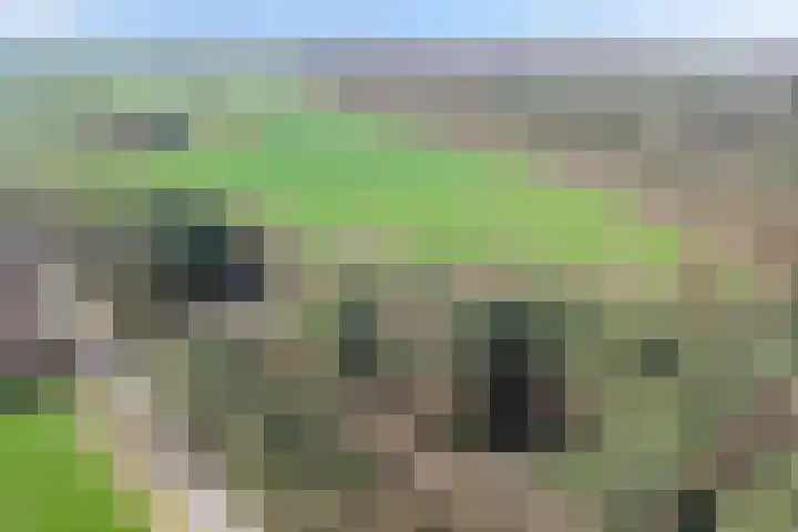 Bronsvoorderdijk 9 Bathmen thumbnail 12
