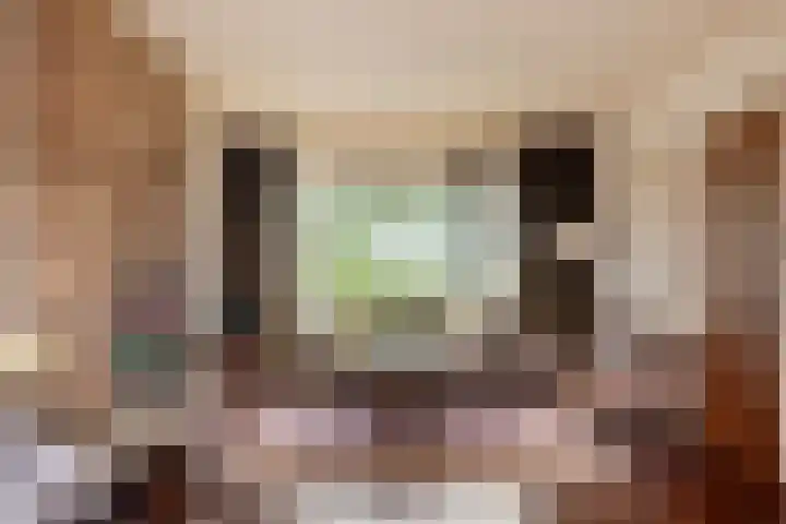 Bronsvoorderdijk 9 Bathmen thumbnail 17