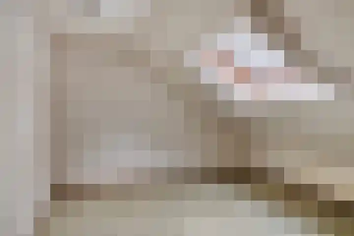 Bronsvoorderdijk 9 Bathmen thumbnail 34