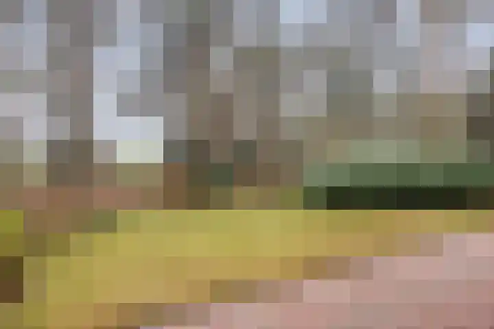 Bronsvoorderdijk 9 Bathmen thumbnail 37