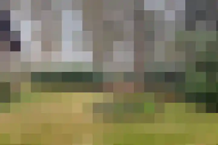 Bronsvoorderdijk 9 Bathmen thumbnail 38