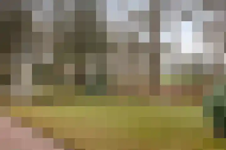 Bronsvoorderdijk 9 Bathmen thumbnail 39