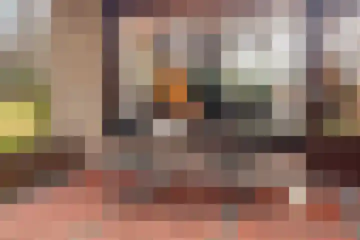 Bronsvoorderdijk 9 Bathmen thumbnail 40