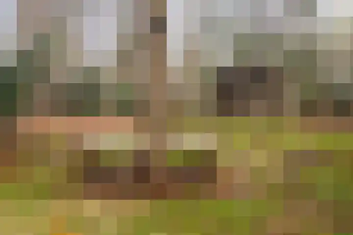 Bronsvoorderdijk 9 Bathmen thumbnail 41