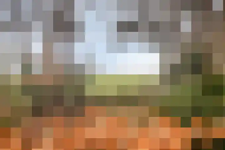 Bronsvoorderdijk 9 Bathmen thumbnail 42