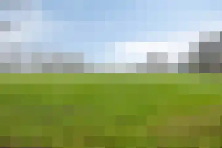Bronsvoorderdijk 9 Bathmen thumbnail 44