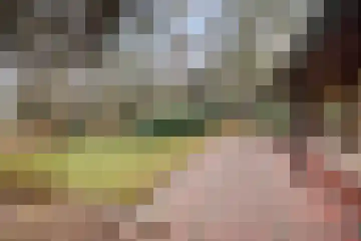 Bronsvoorderdijk 9 Bathmen thumbnail 5