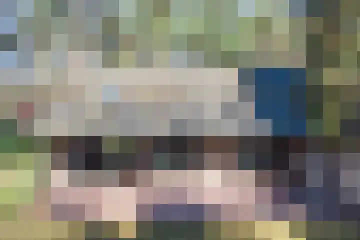 Bronsvoorderdijk 9 Bathmen thumbnail 6