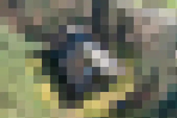 Bronsvoorderdijk 9 Bathmen thumbnail 7