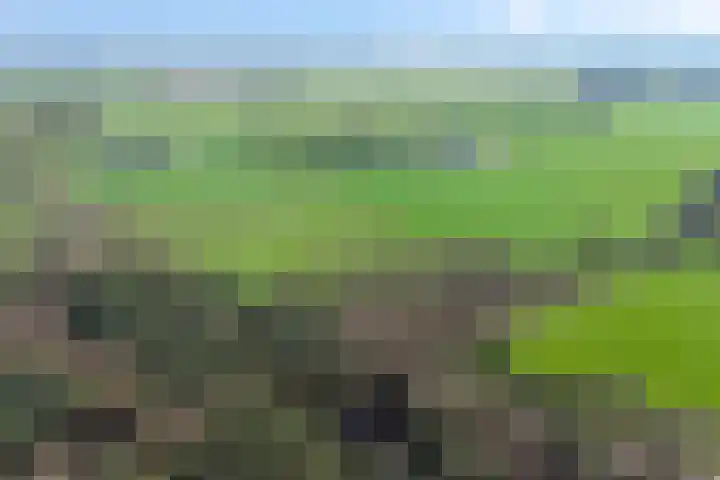 Bronsvoorderdijk 9 Bathmen thumbnail 8