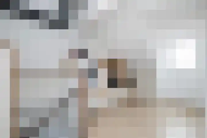 Broodbakkersgilde 31 Dronten thumbnail 21